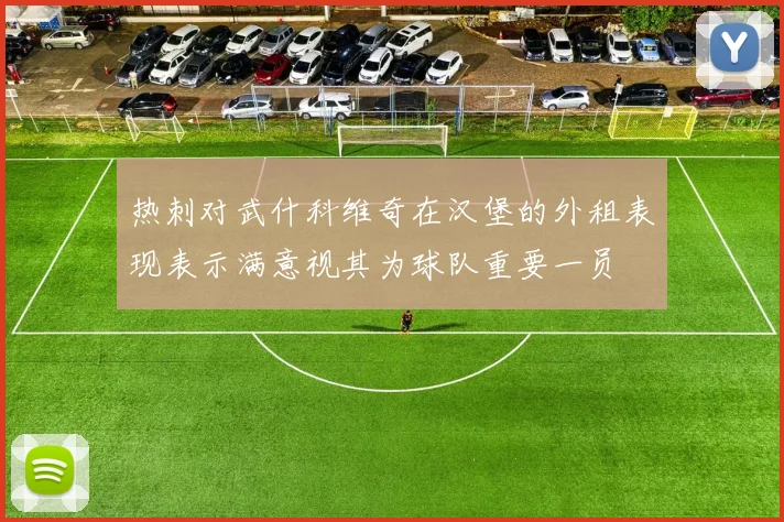 热刺对武什科维奇在汉堡的外租表现表示满意视其为球队重要一员